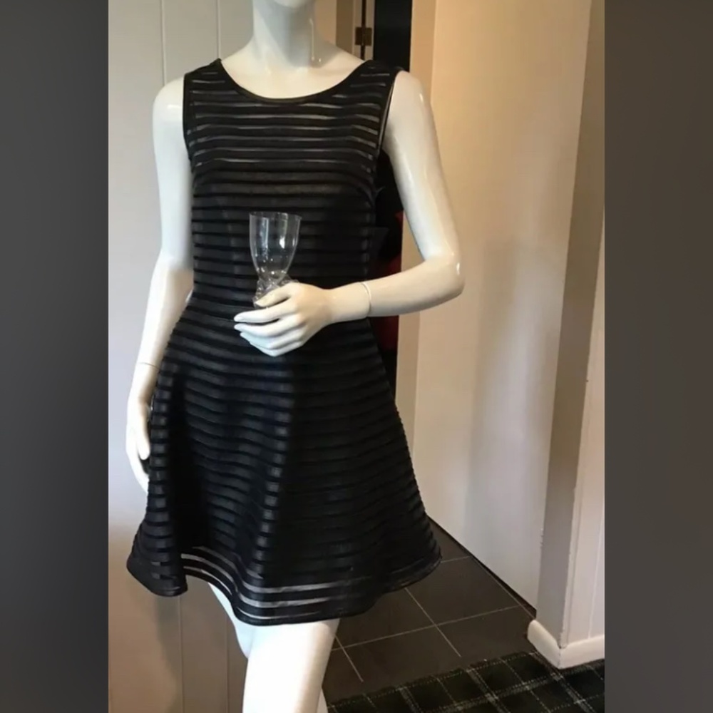 Leather dress designer Parker  ( sold in Neiman Marcus )